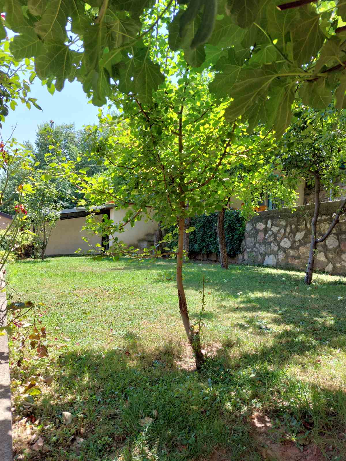 House in Skopje - View 3